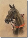 denman