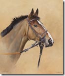 kauto star