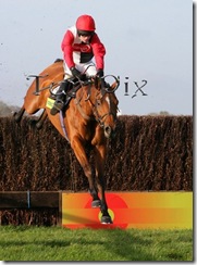 ornais4