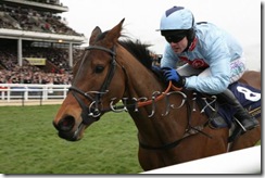 silverburncht081