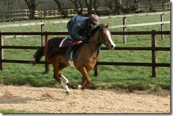 duffield