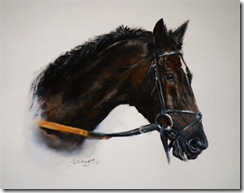 'Denman' - Oil on Paper 2009 by Sarah Clegg