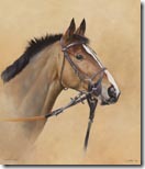kauto star